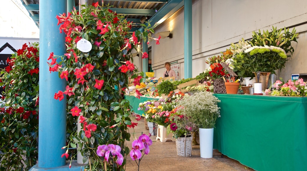 Quartier Victor Hugo montrant marchés et fleurs aussi bien que femme