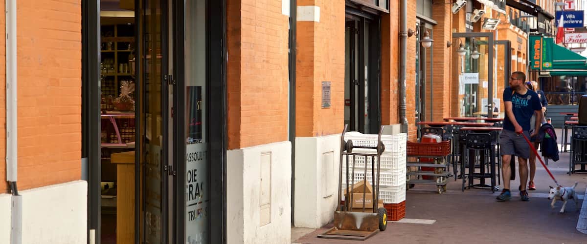 Victor Hugo District featuring cuddly or friendly animals and street scenes as well as an individual male
