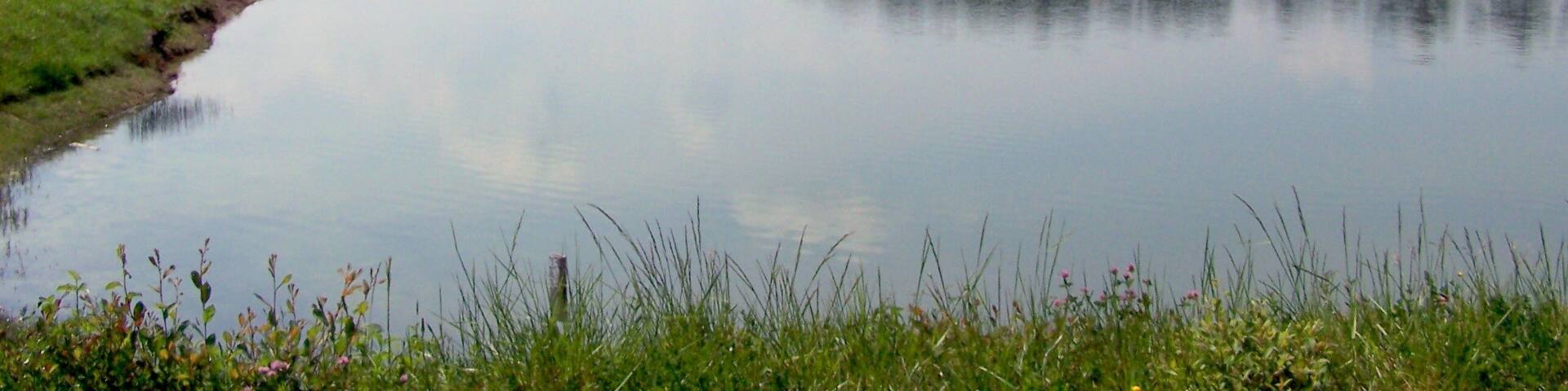 Lake of Sigalens (Gironde, France)