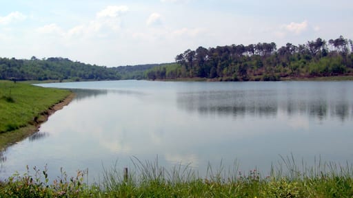 Lake of Sigalens (Gironde, France)