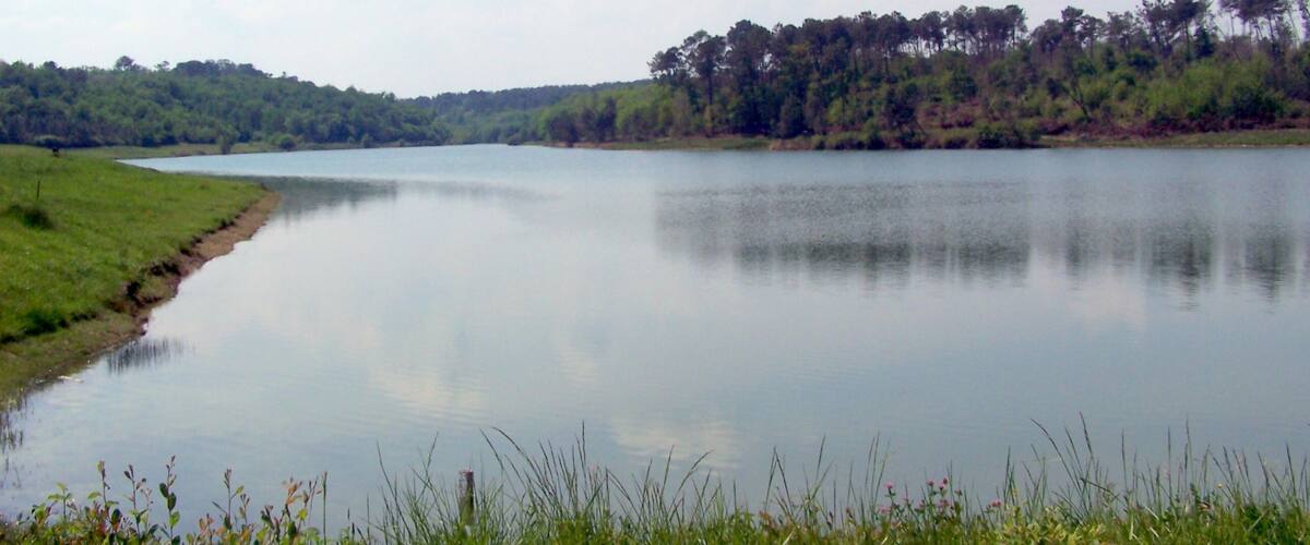 A calm lake with grassy banks and a forested hill in the background.