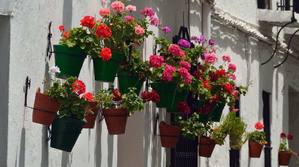 Barrio de la Villa