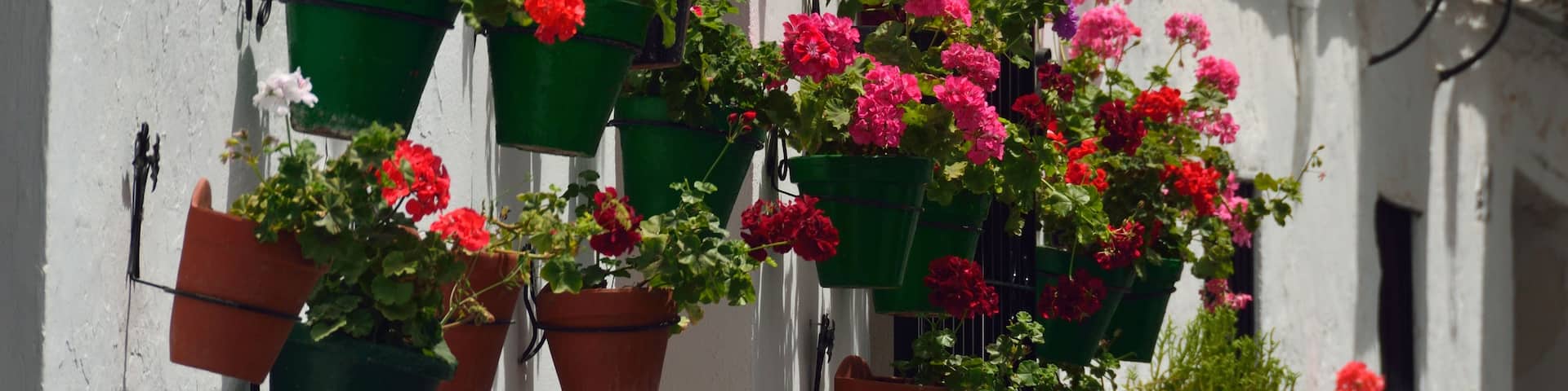 Hanging flower pots with various flowers against a white building facade.