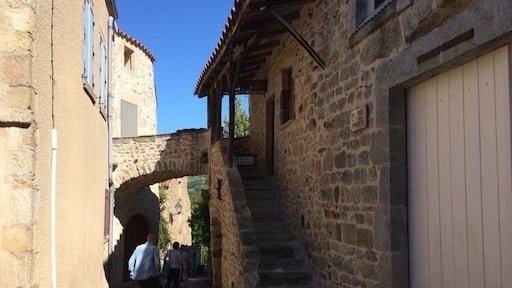 That second picture I told you about.