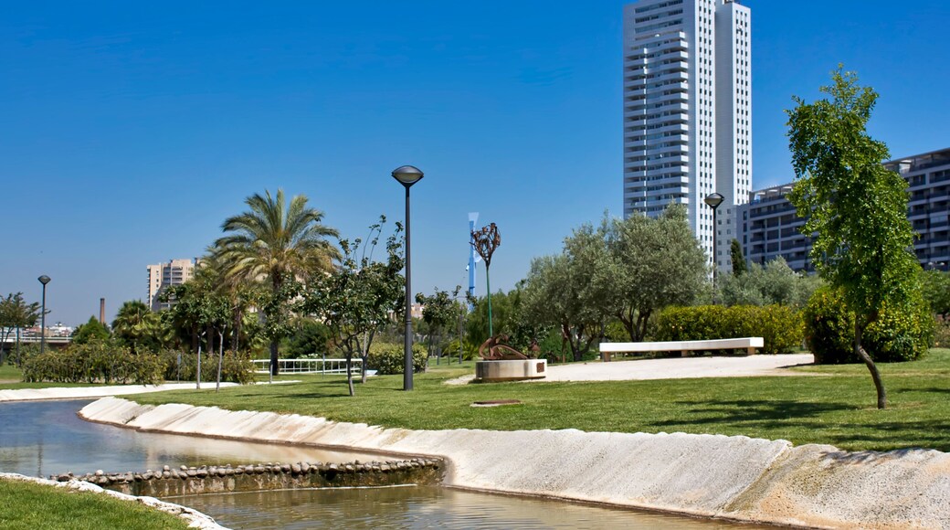 ๋์๋ณด ์ผํธ๋ก