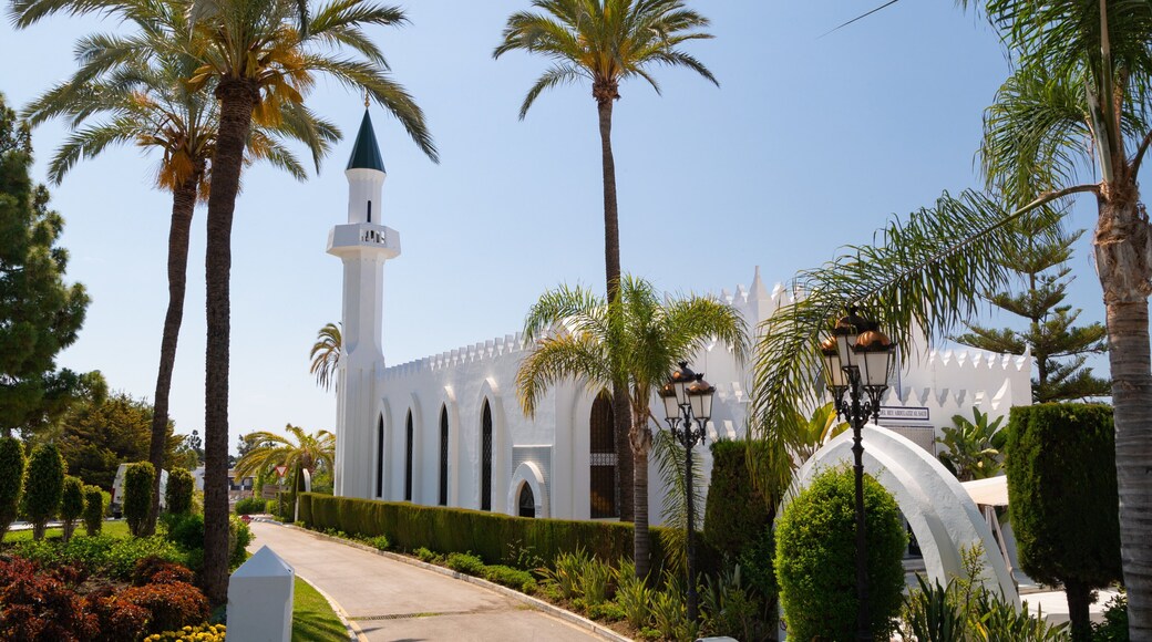 King Abdul Aziz Mosque featuring a mosque and a park