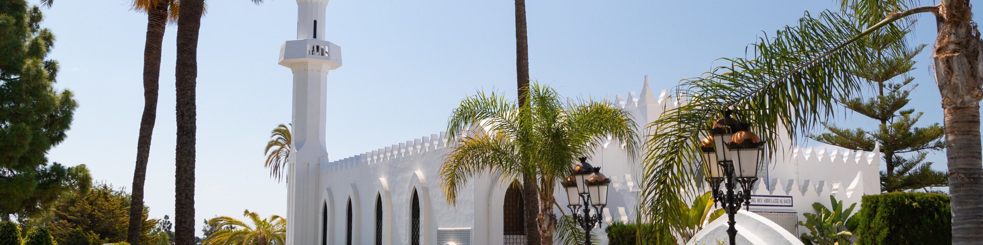 King Abdul Aziz Mosque featuring a mosque and a park