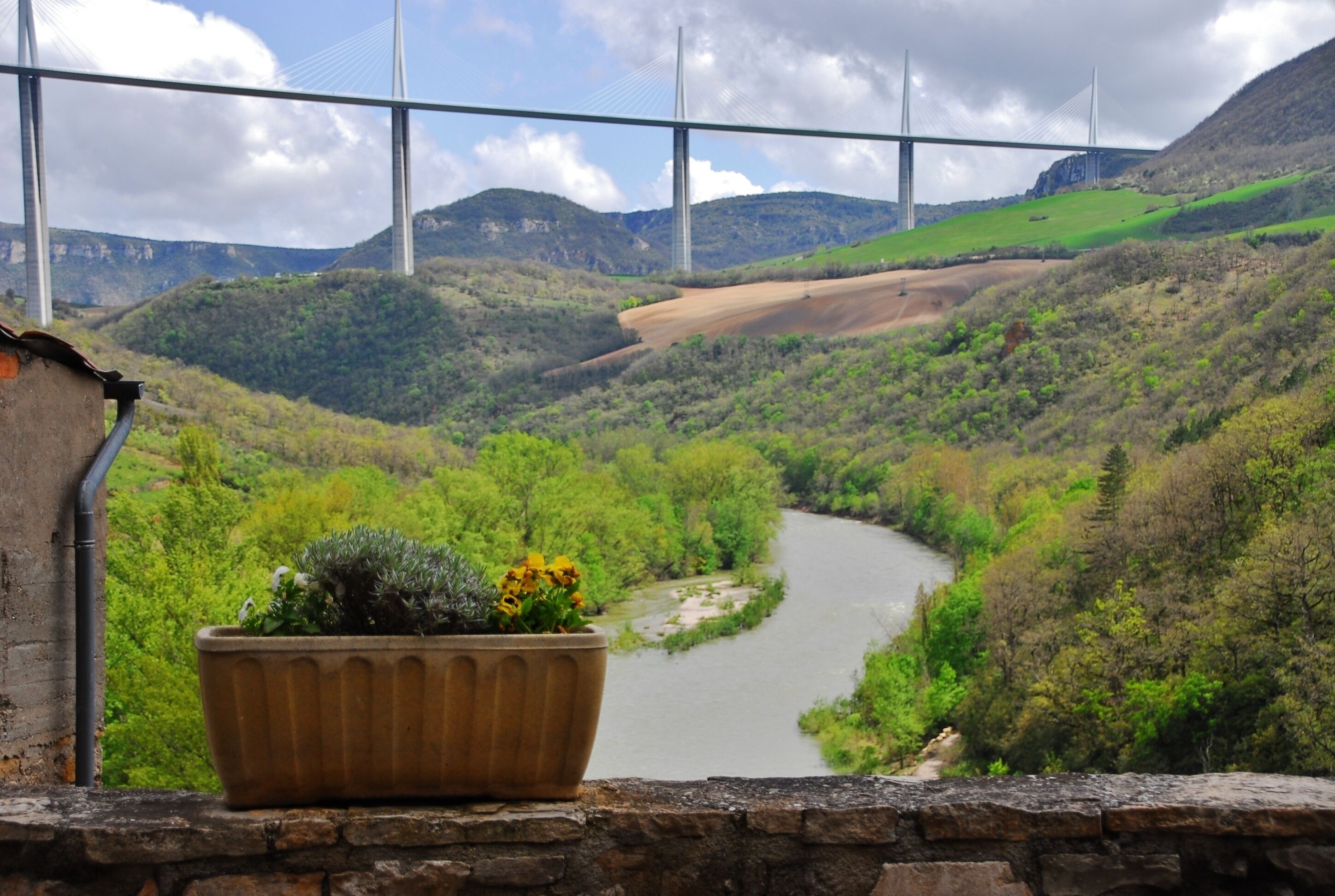 A river valley with a bridge in the background.