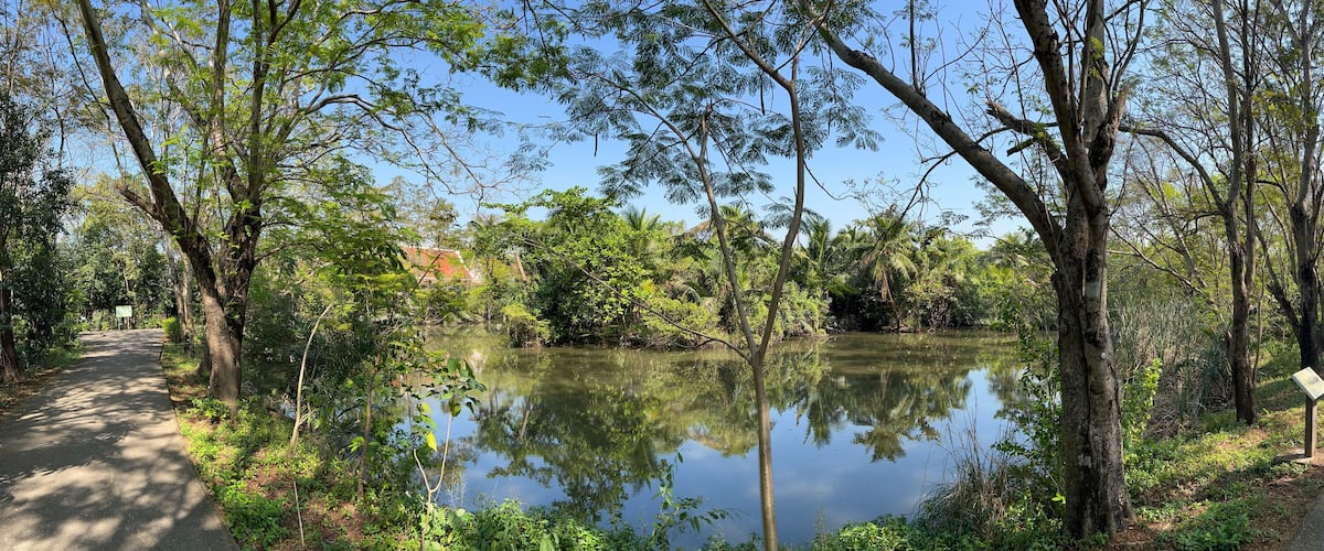 A serene pond surrounded by lush greenery and trees, with a clear path leading through the forest.