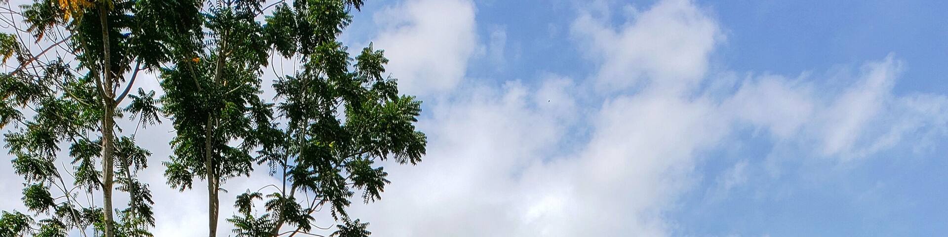 Highly recommend Phuket Elephant Sanctuary. The energy in incredible! Thank you PES for what you do!