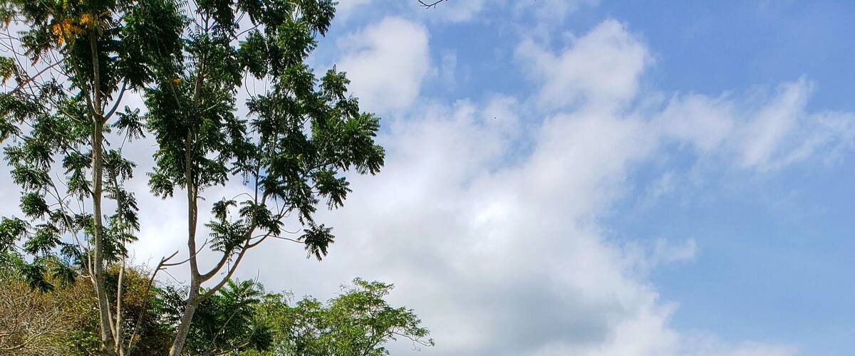 Highly recommend Phuket Elephant Sanctuary. The energy in incredible! Thank you PES for what you do!