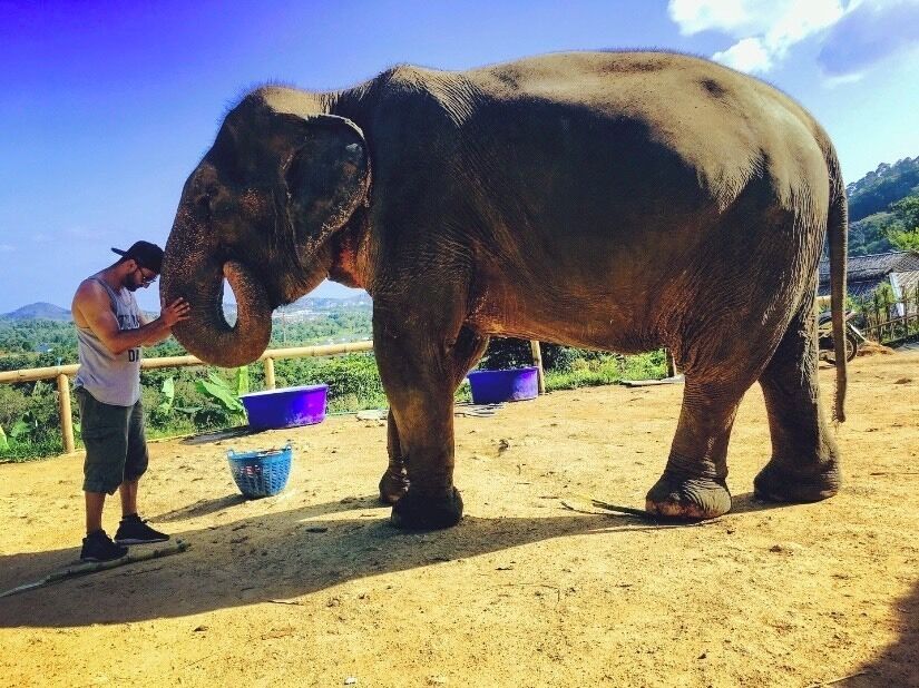 If An elephant never forgets, & I will never forget you! #saveelephants #trovember