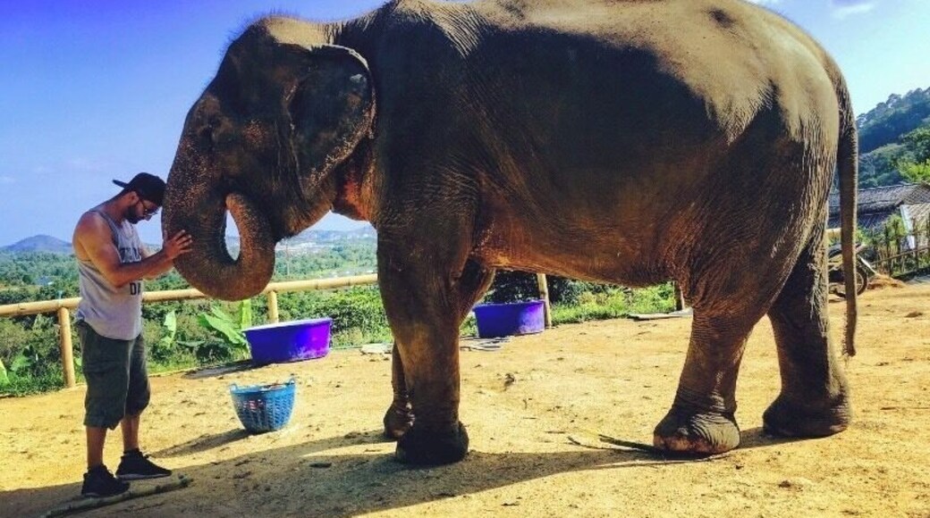 If An elephant never forgets, & I will never forget you! #saveelephants #trovember