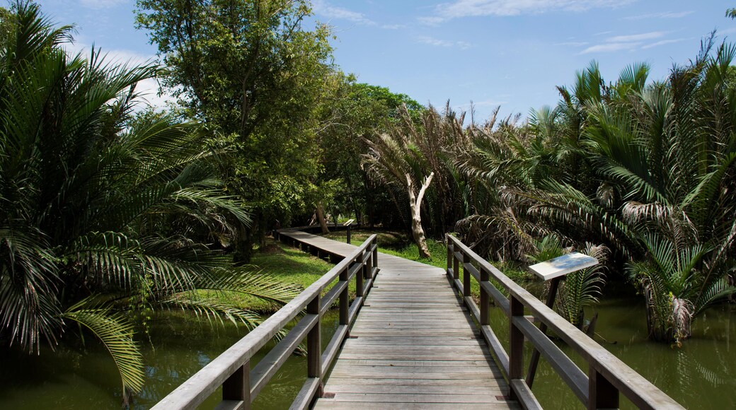 Sri Nakhon Khuean Khan park og botaniske hage