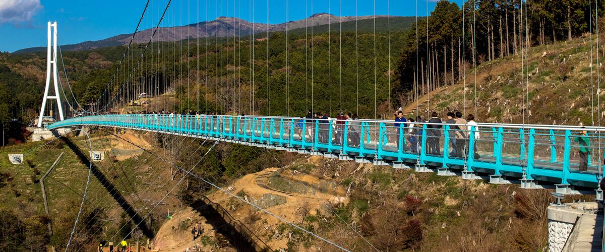 A suspension bridge with a turquoise walkway, surrounded by hills and trees.