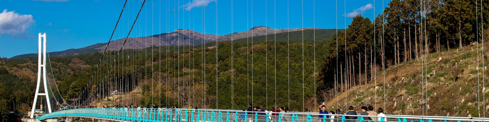 A suspension bridge with a turquoise walkway, surrounded by hills and trees.