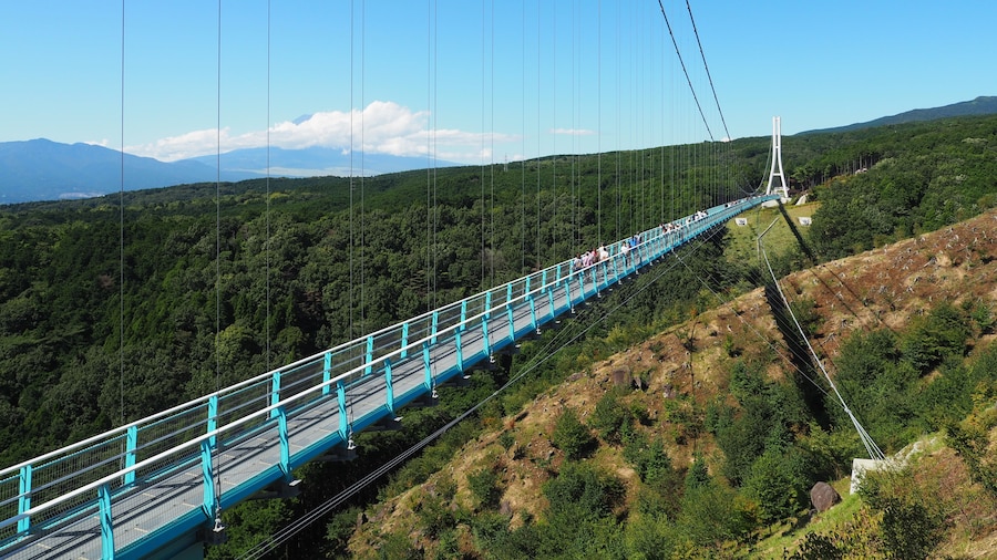 Passerelle suspendue Mishima Sky Walk