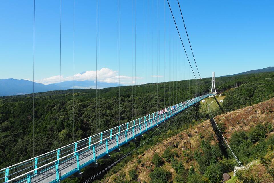A suspension bridge with turquoise railings spanning a forested valley.