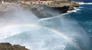 Devil's tear, Nusa Lembagon! Majestic waves hitting rocks with a spectacular rainbow ! Visual delight! #blue #devilstear #nusalembagon #naturesdelight