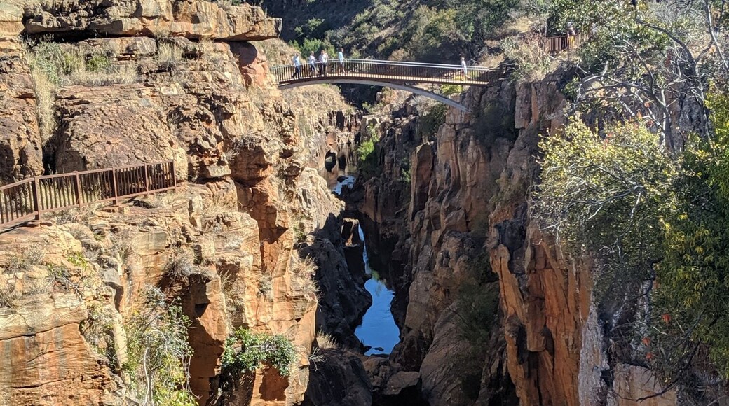 Much more beautiful potholes than I am used to hitting with my car.