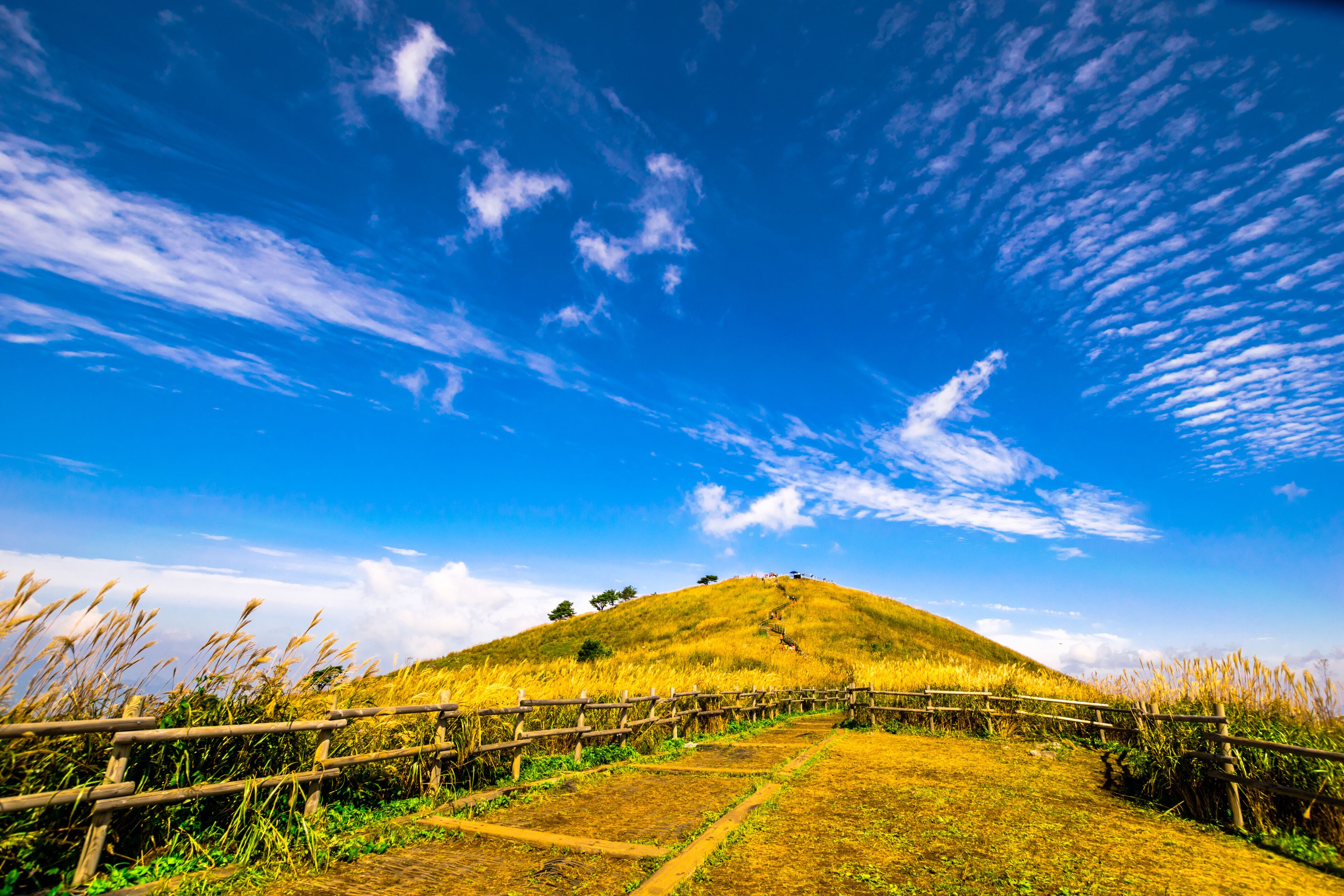 Famous for its reed flowers in autumn, Gangwon-do Mindungsan.