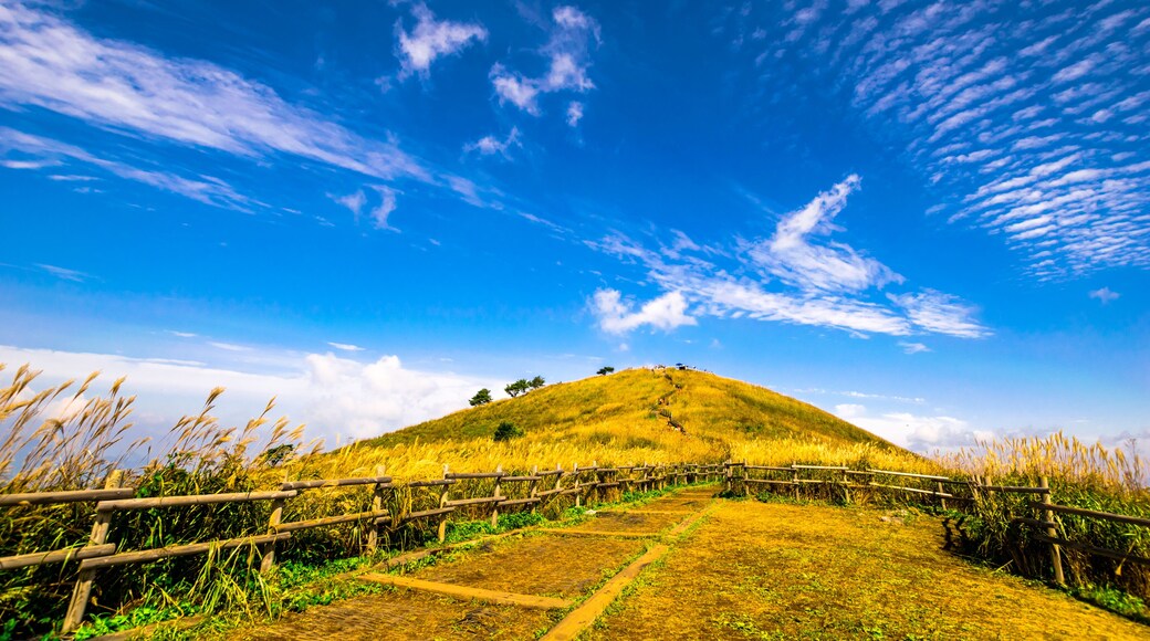 Famous for its reed flowers in autumn, Gangwon-do Mindungsan.