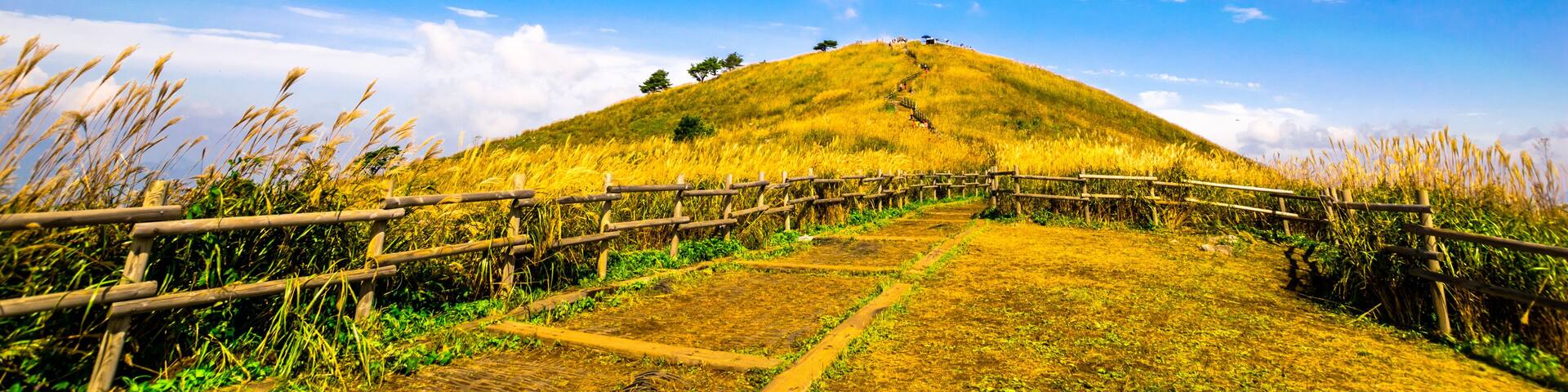 A grassy hill with a wooden fence and a clear blue sky.
