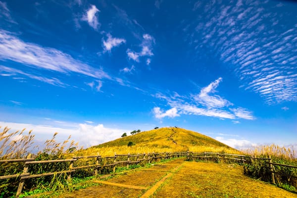 Famous for its reed flowers in autumn, Gangwon-do Mindungsan.