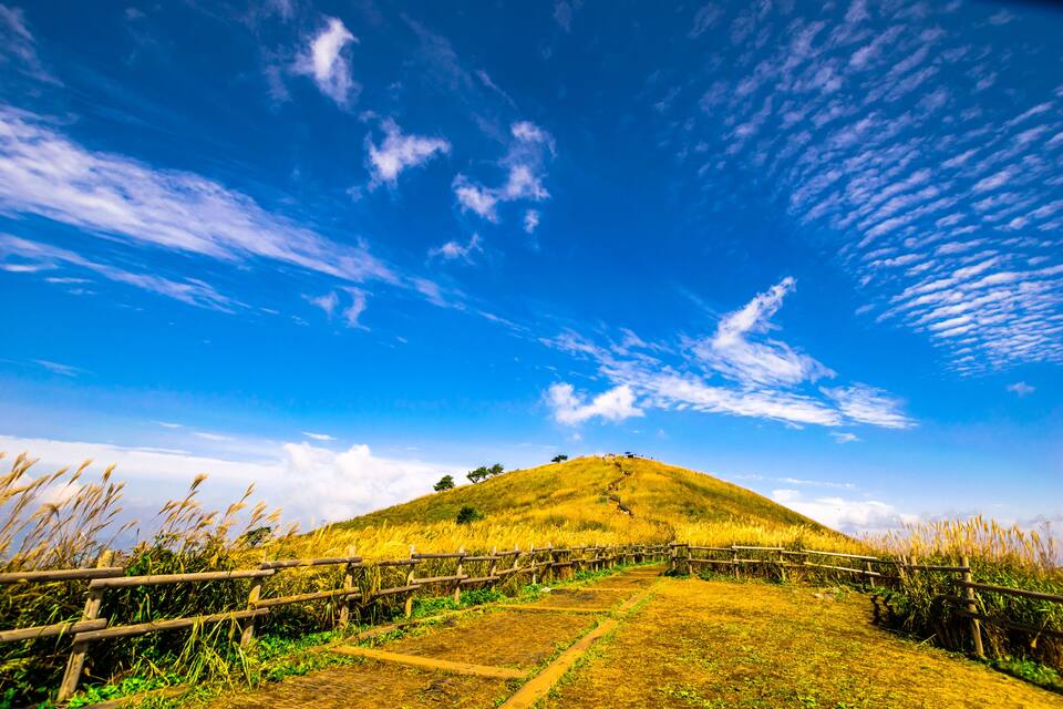 A grassy hill with a wooden fence and a clear blue sky.