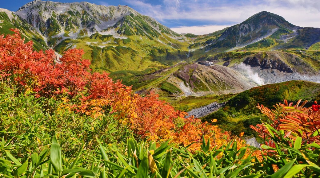 Autumn scenery in Tateyama alpine, Japan