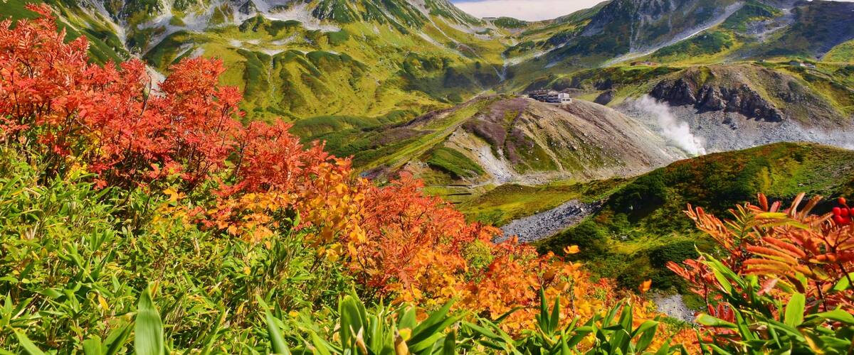 A mountainous landscape with green valleys and red foliage.