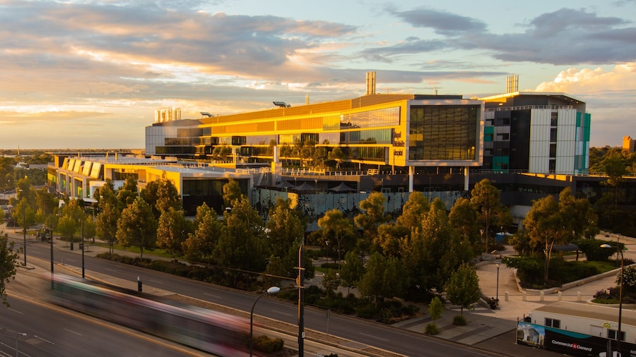 Royal Adelaide Hospital which includes a sunset