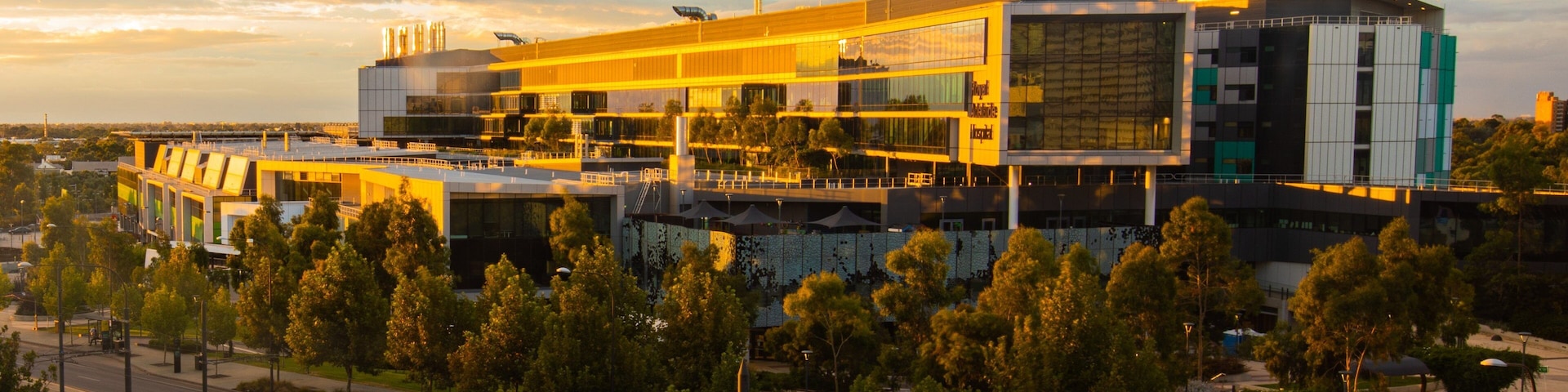 Royal Adelaide Hospital which includes a sunset