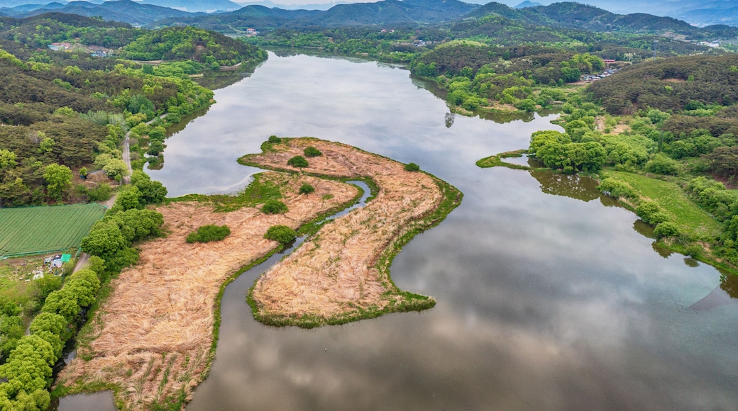 aerial drone view. Spring scenery of Korea's Upo Wetland.