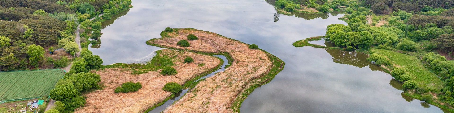 aerial drone view. Spring scenery of Korea's Upo Wetland.