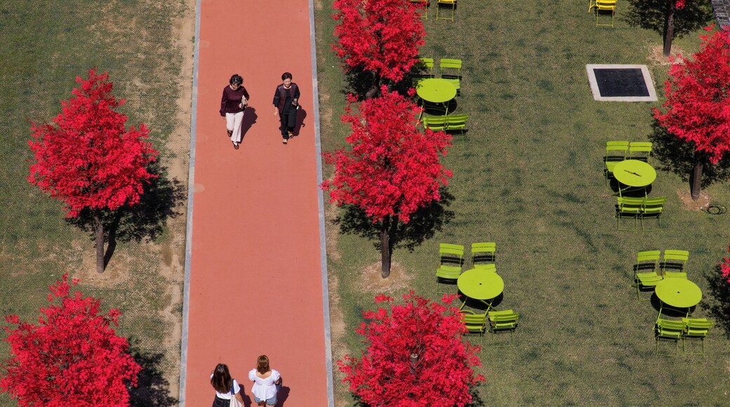 Incheon_TripleStreet_553248634207195935_-7