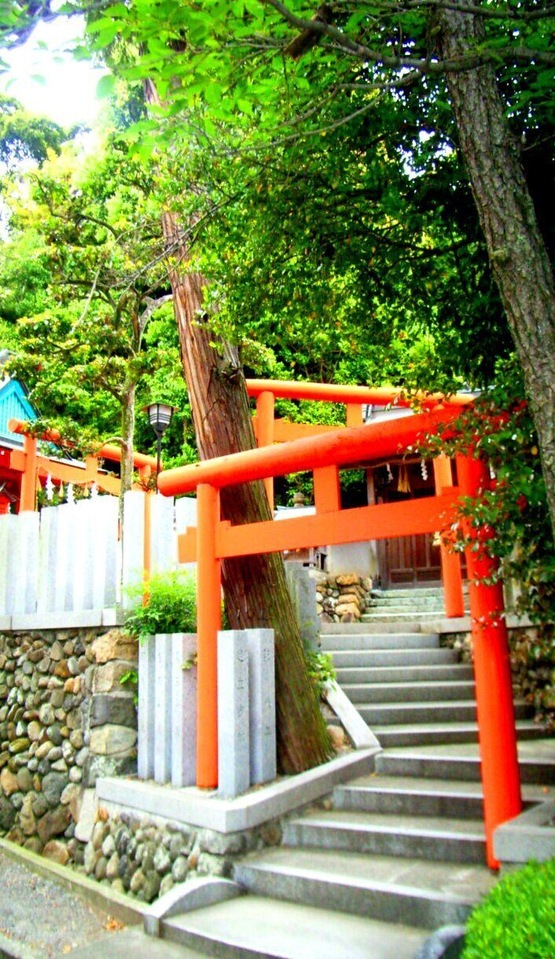 1 Chome Handa, Ōsakasayama-shi, Ōsaka-fu 589-0011, Japan