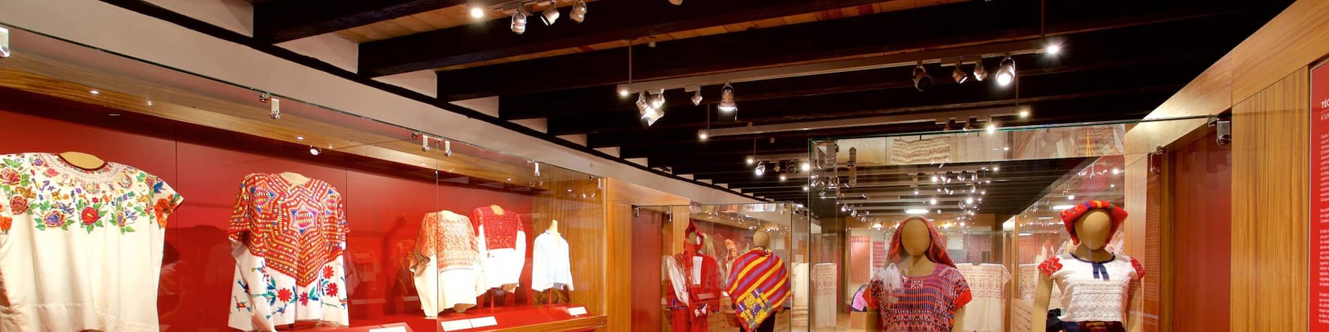 San Cristóbal de las Casas que incluye vistas interiores