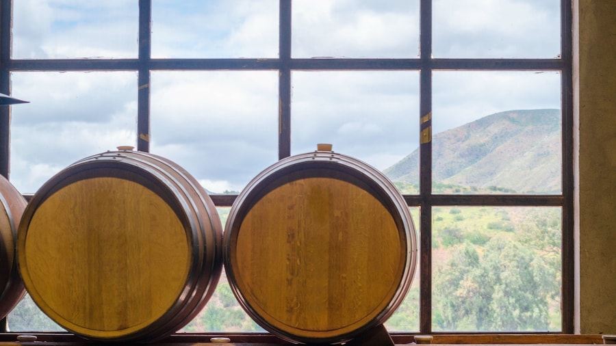 Bodegas de Santo Tomás