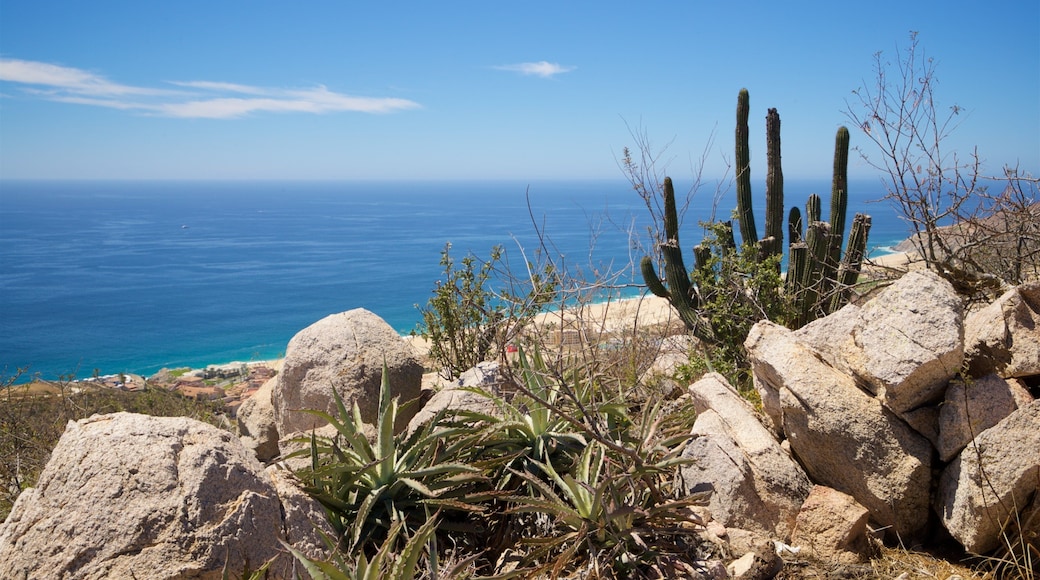 Cerro de la Z which includes landscape views and general coastal views
