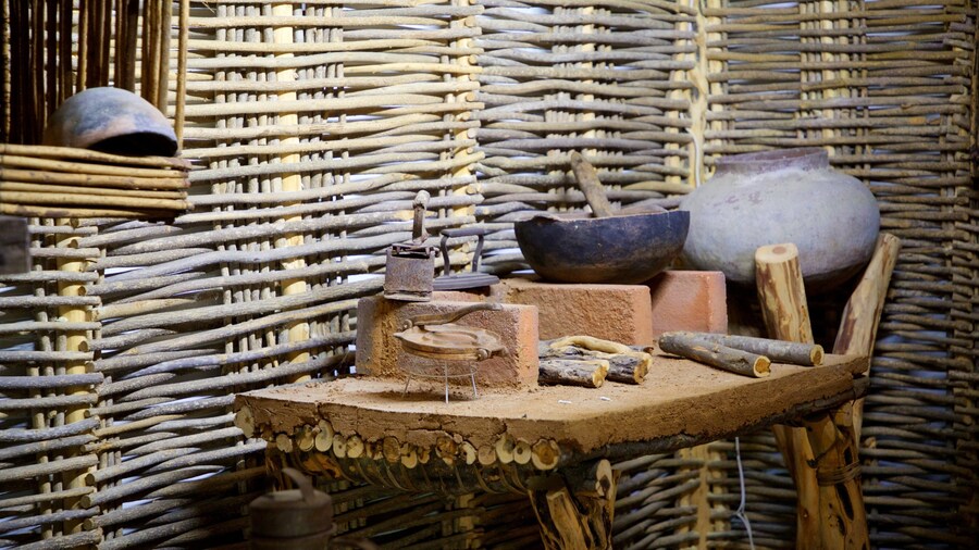 Natural History Museum of Cabo San Lucas