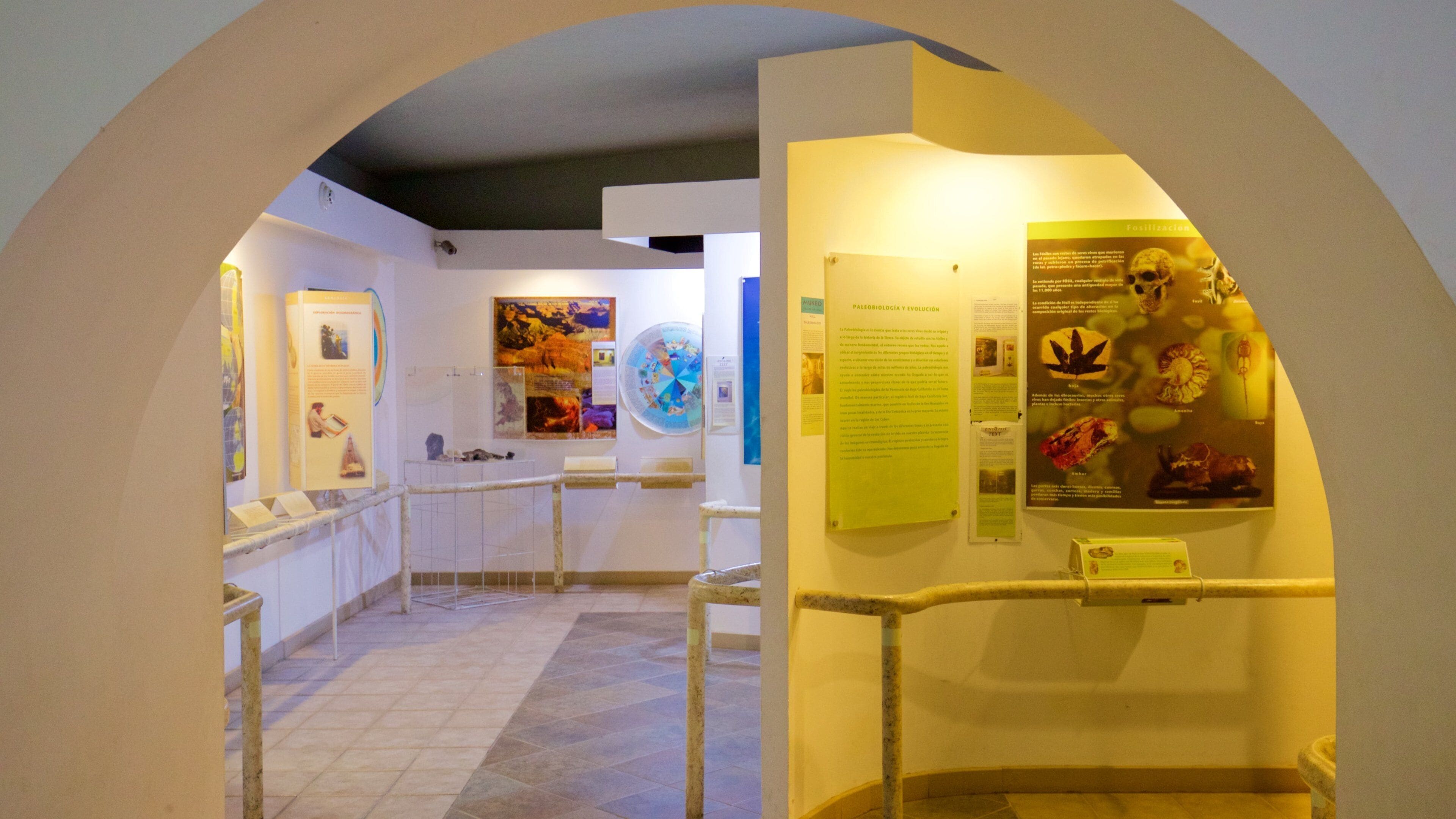 Natural History Museum of Cabo San Lucas which includes interior views
