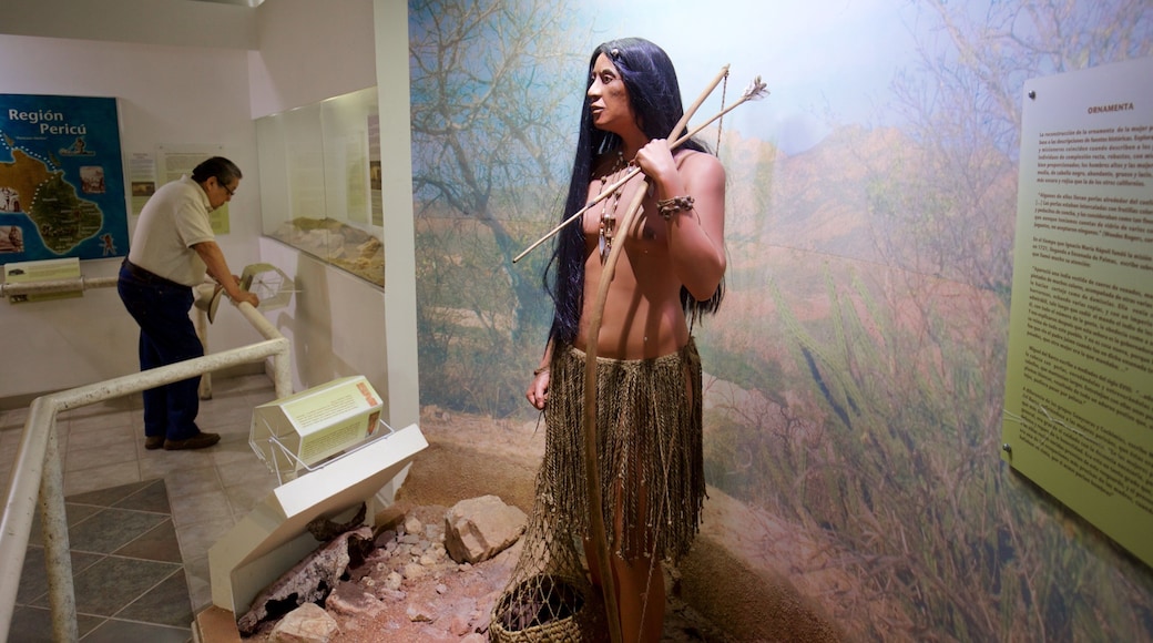 Natural History Museum of Cabo San Lucas which includes interior views