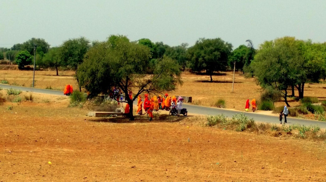 The #vivid #colours of #rajasthan ......
