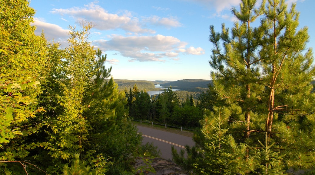 La Mauricie National Park forest overlook
