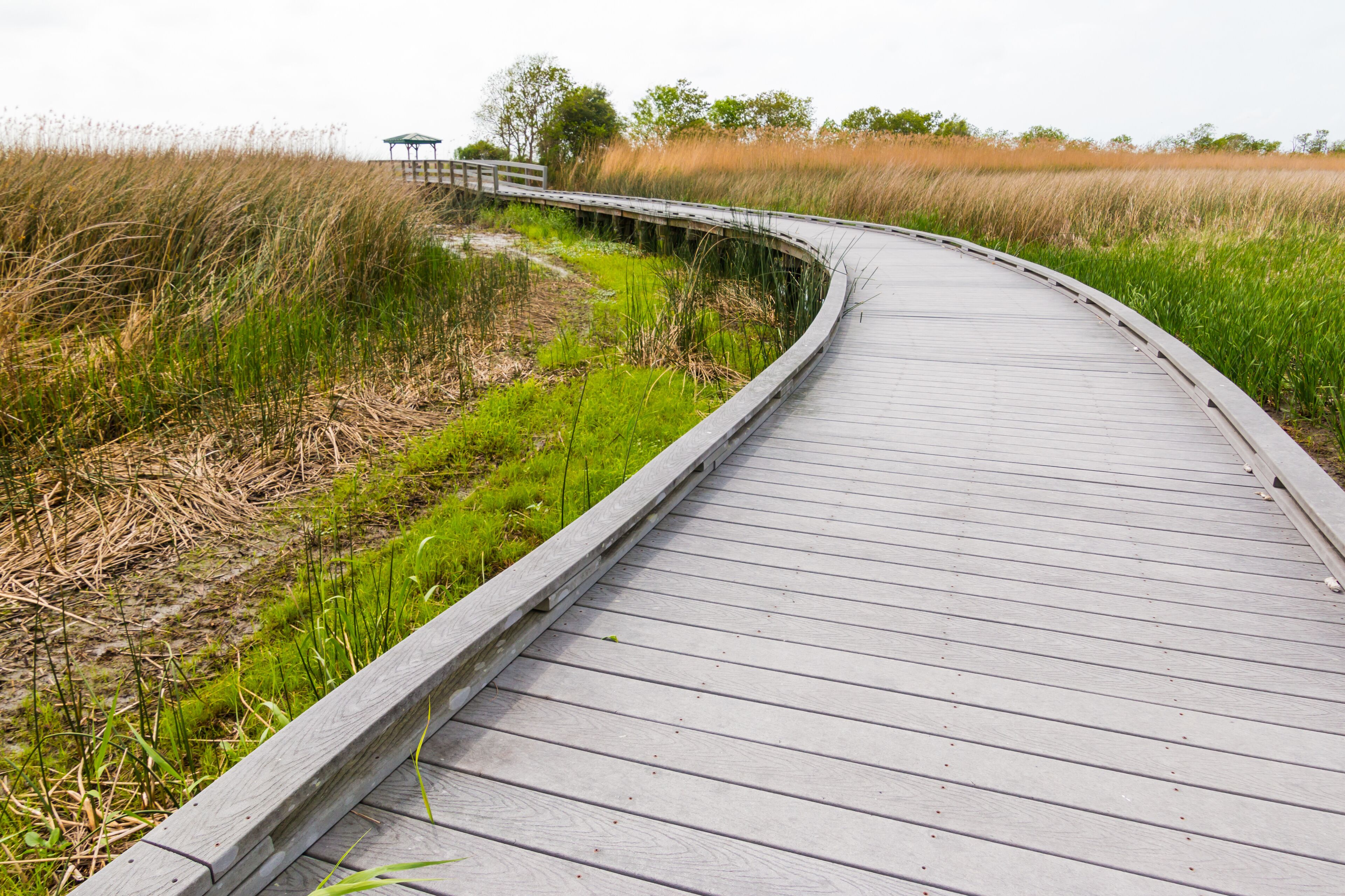 Boardwalk Leading Through The Wetlands Walkway On The Creole Nature Trail, Sabine National Wildlife Refuge, Louisiana, USA
