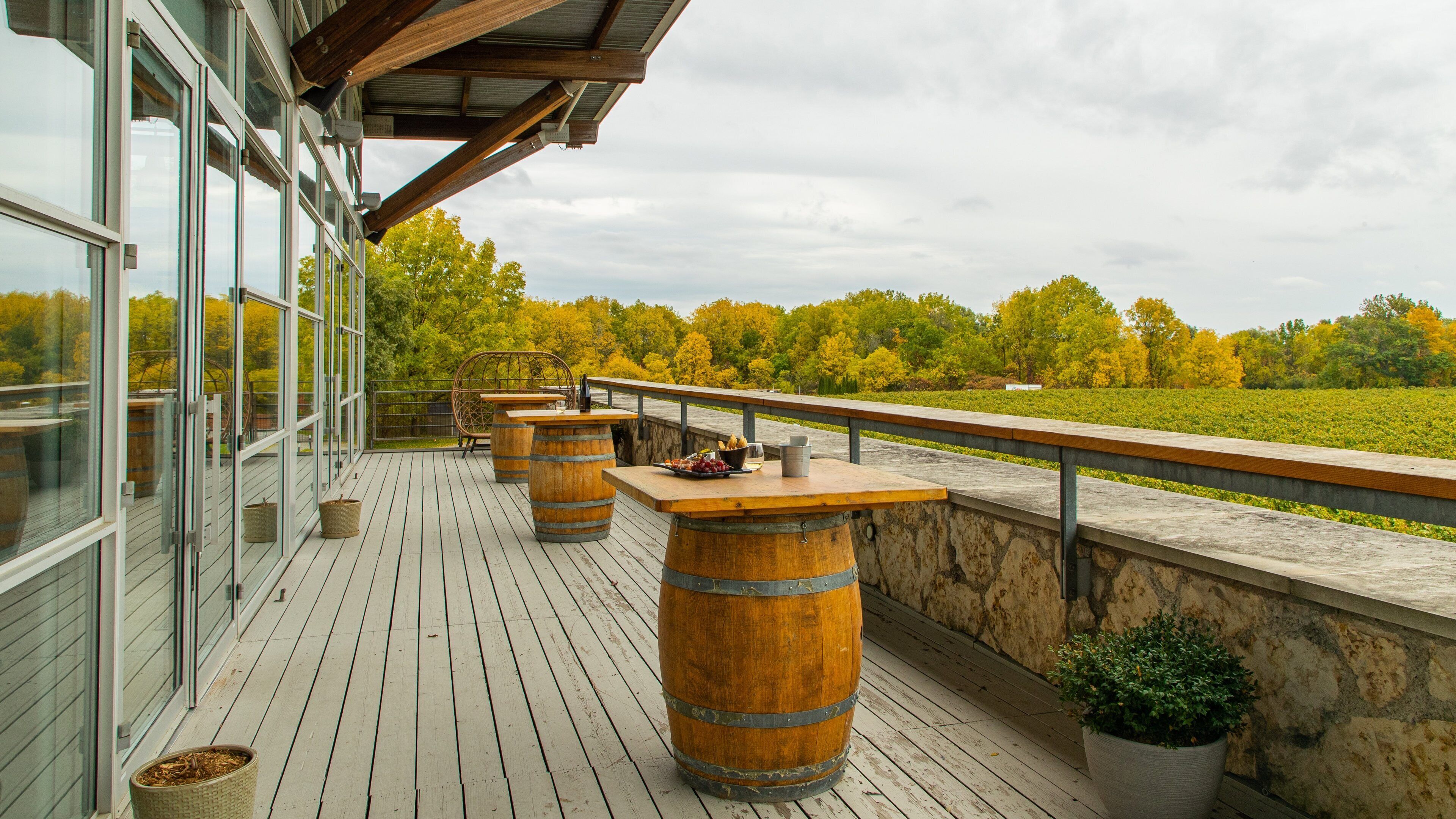 Jackson-Triggs Winery which includes views