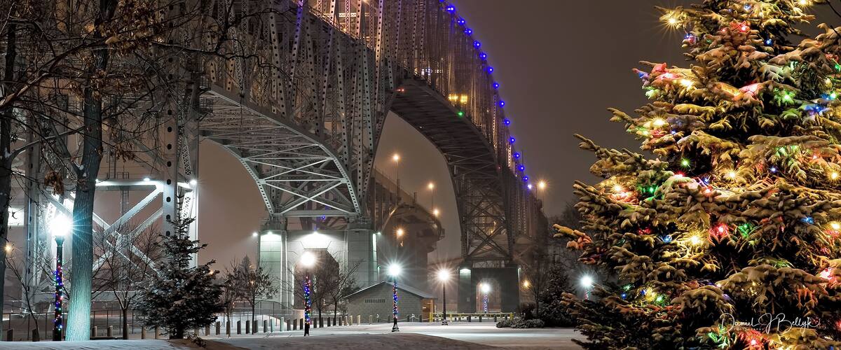 A snow-covered Christmas tree and a large illuminated bridge at night.