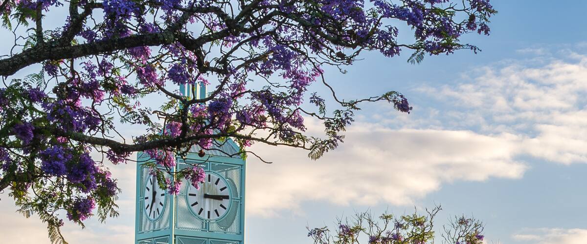 Camden is a historic town and suburb of Sydney, New South Wales, located 65 kilometers south-west of the Sydney central business district.