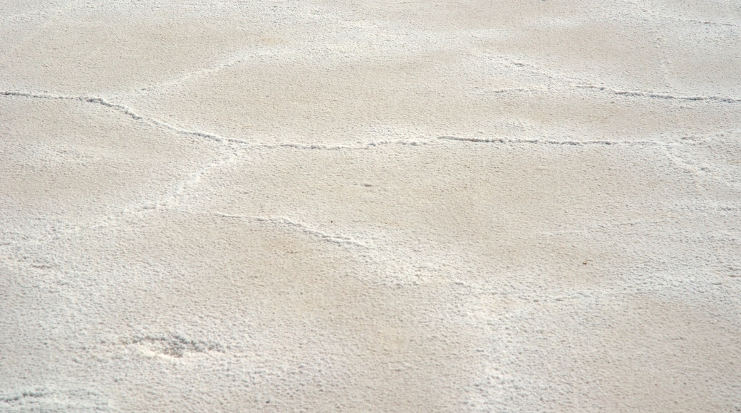 Northwest Region showing a lake or waterhole